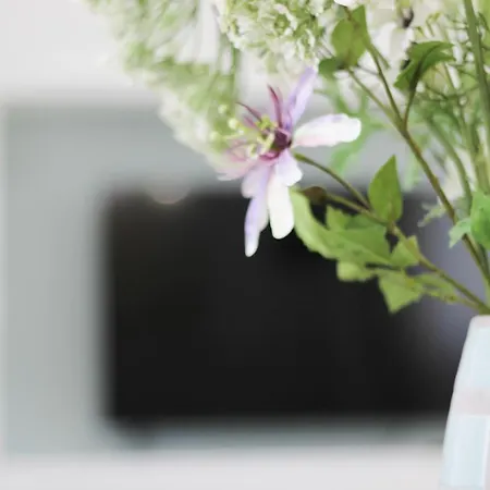 Апартаменты Altum Villare Равенна