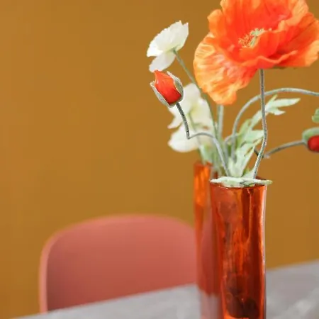 Altum Villare Ravenna